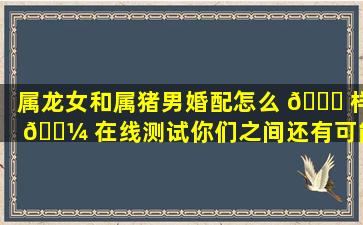 属龙女和属猪男婚配怎么 🐅 样 🌼 在线测试你们之间还有可能吗